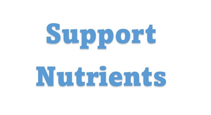 Support Nutrients